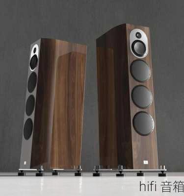 hifi 音箱