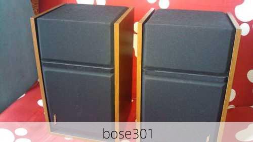 bose301