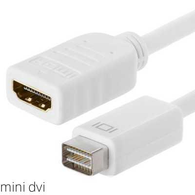 mini dvi