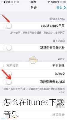 怎么在itunes下载音乐