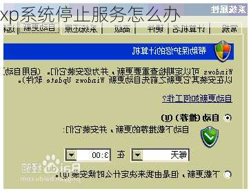 xp系统停止服务怎么办
