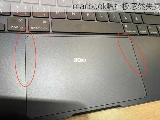 macbook触控板忽然失灵