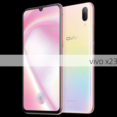 vivo x23