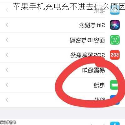 苹果手机充电充不进去什么原因
