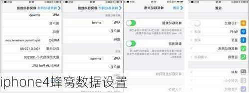 iphone4蜂窝数据设置