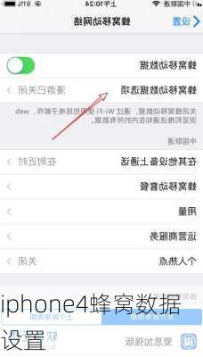 iphone4蜂窝数据设置