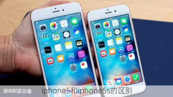 iphone5和iphone5s的区别