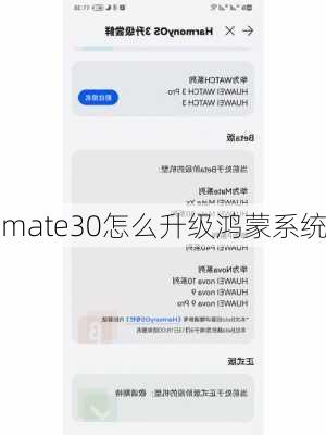 mate30怎么升级鸿蒙系统