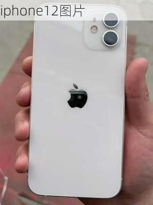 iphone12图片