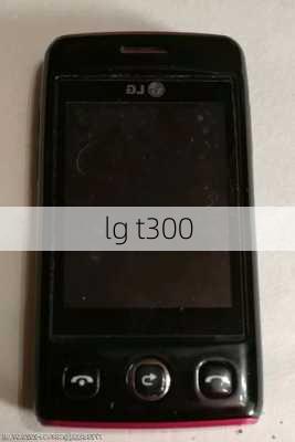 lg t300